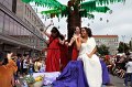 Kulturen   048